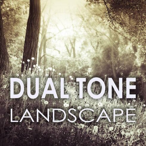 25 Dual Tone Landscape Presetscover image.