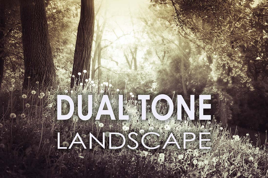 25 Dual Tone Landscape Presetscover image.