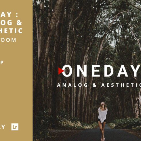 Oneday: Analog & Aesthetic Lr presetcover image.