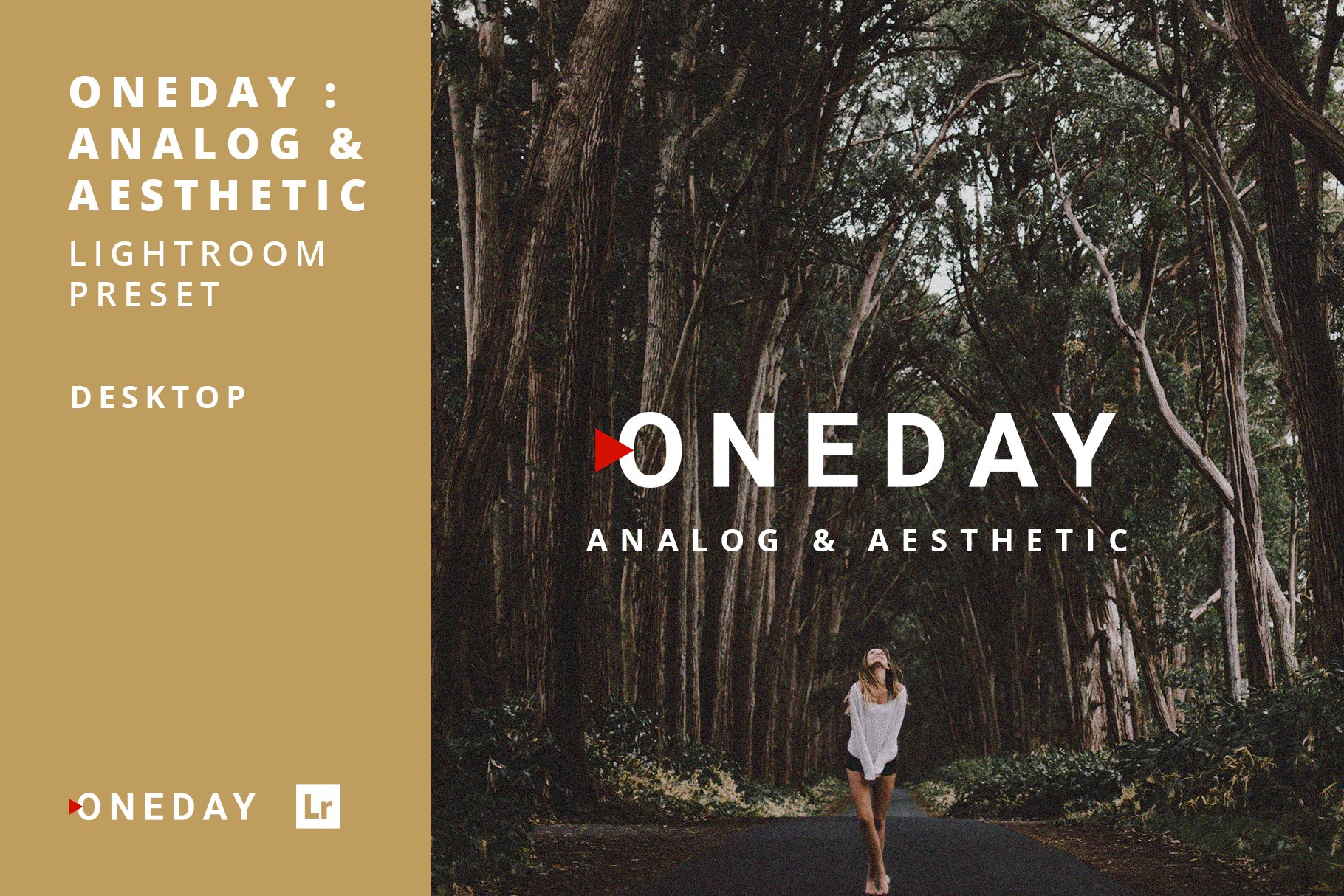 Oneday: Analog & Aesthetic Lr presetcover image.