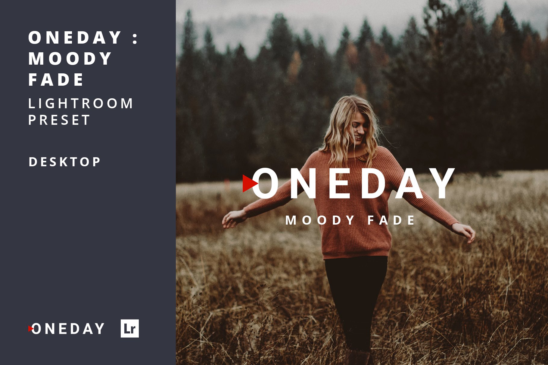 Oneday : Moody Fade Lightroom presetcover image.