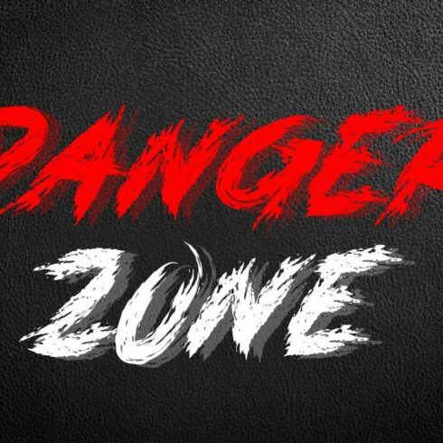 DANGER ZONE cover image.