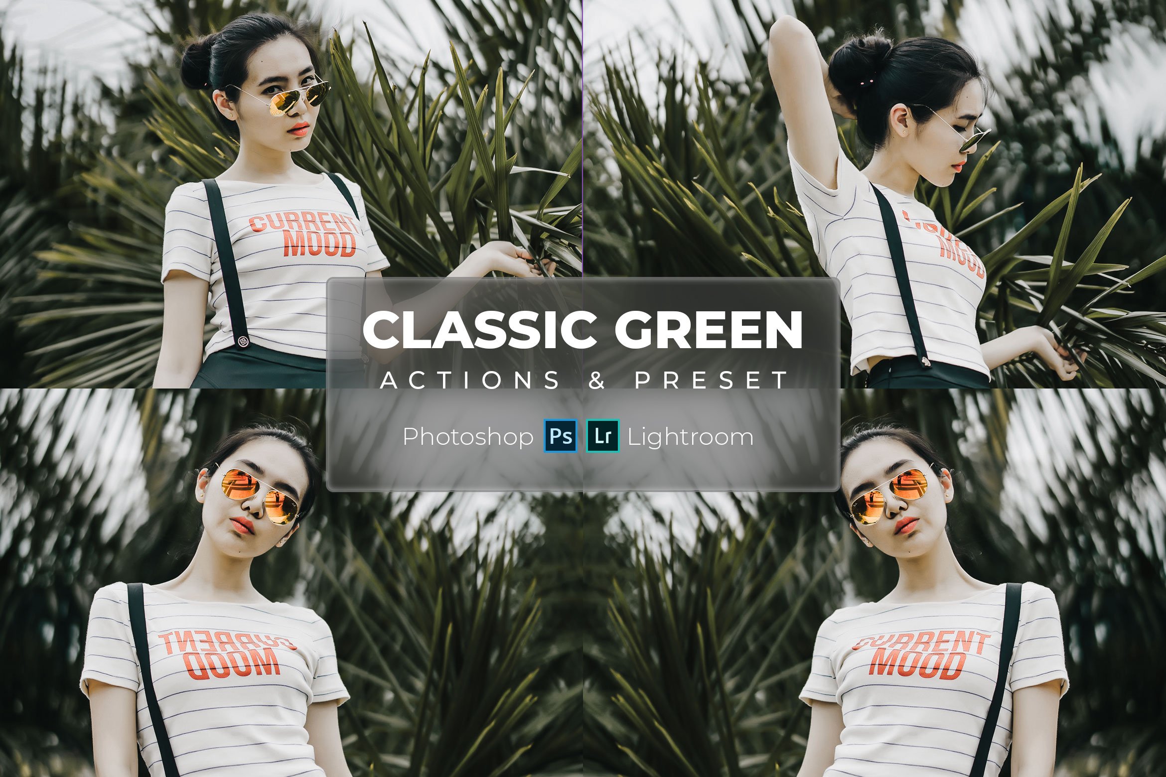Classic Green Lr Presets & Ps Actioncover image.