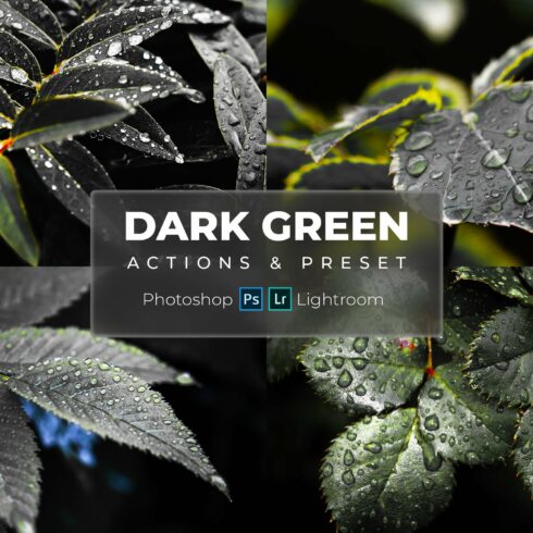 Lr Presets & Ps Actions Dark Greencover image.