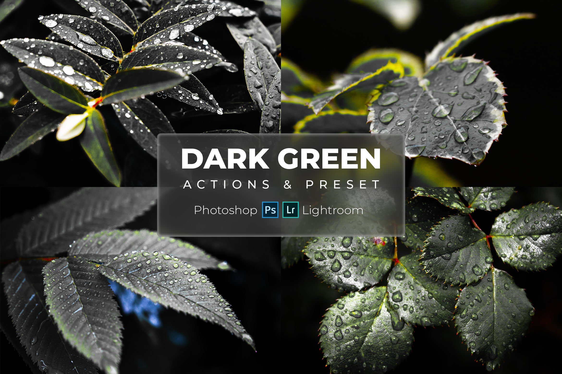 Lr Presets & Ps Actions Dark Greencover image.