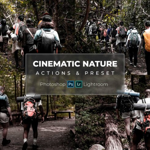 Natural Cinematic - Presets & Actioncover image.