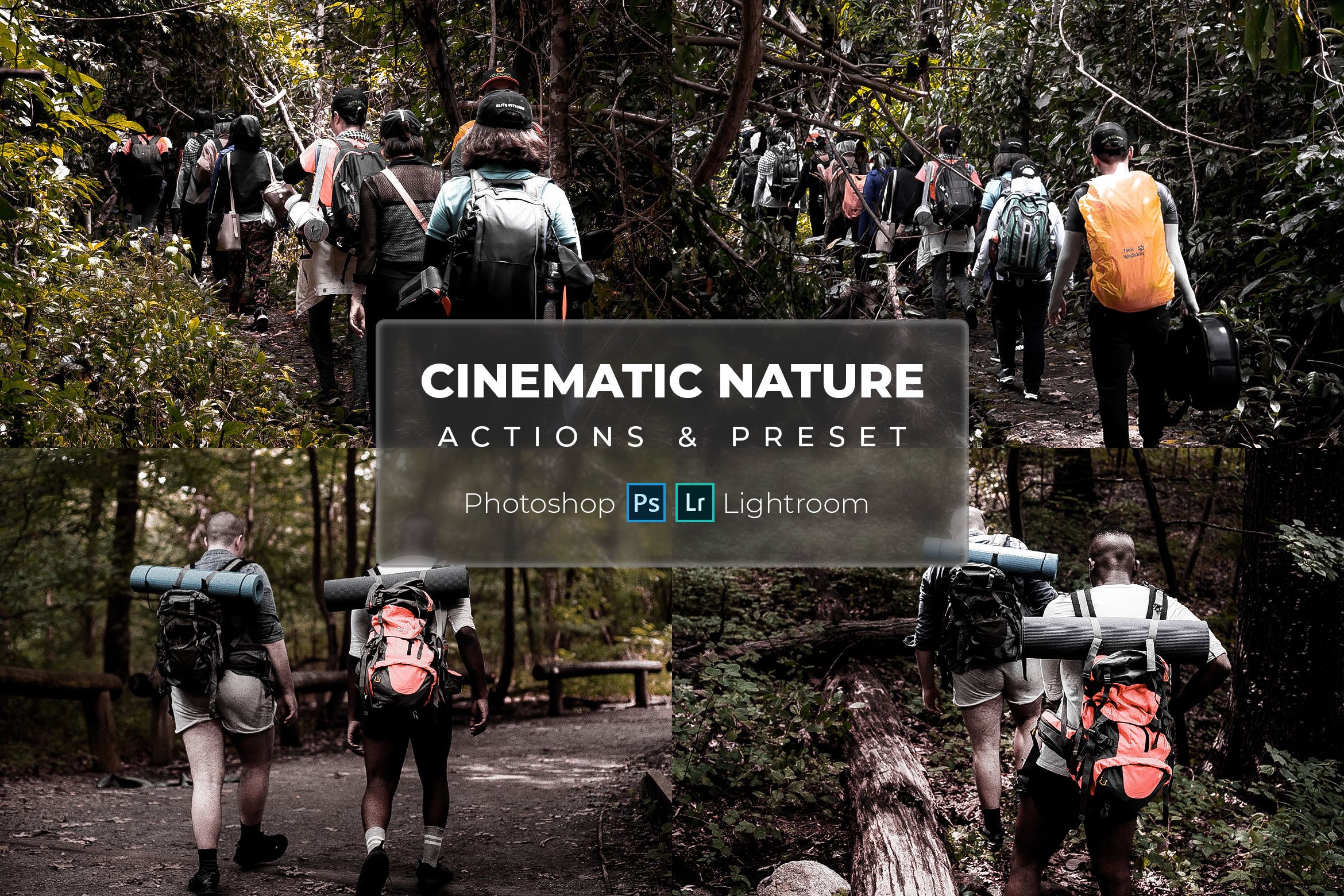 Natural Cinematic - Presets & Actioncover image.