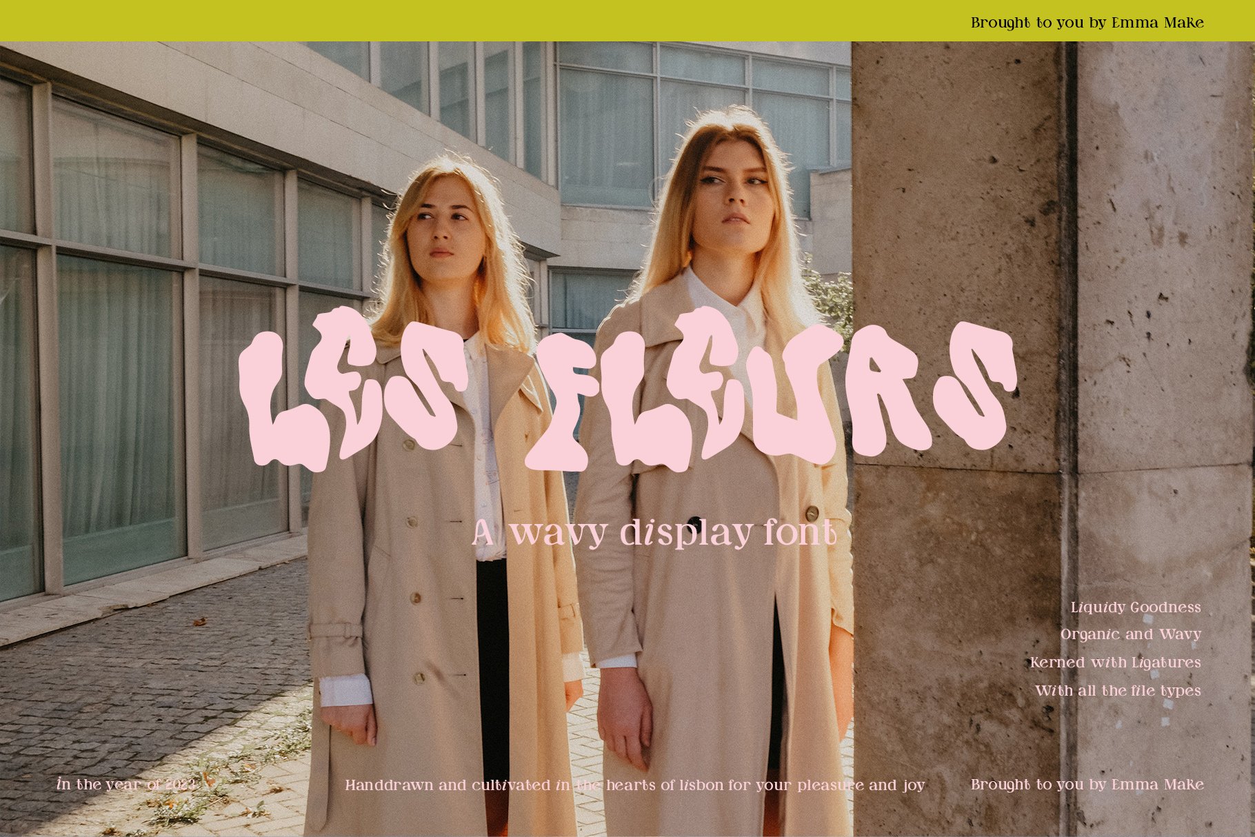 Les Fleurs a Wavy Fluid Font cover image.