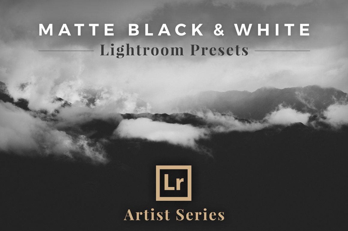 Matte Black &White Lightroom Presetscover image.