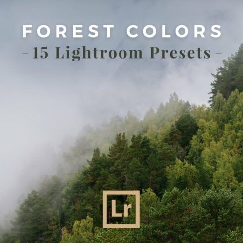 Lightroom Presets Forest Landscapescover image.