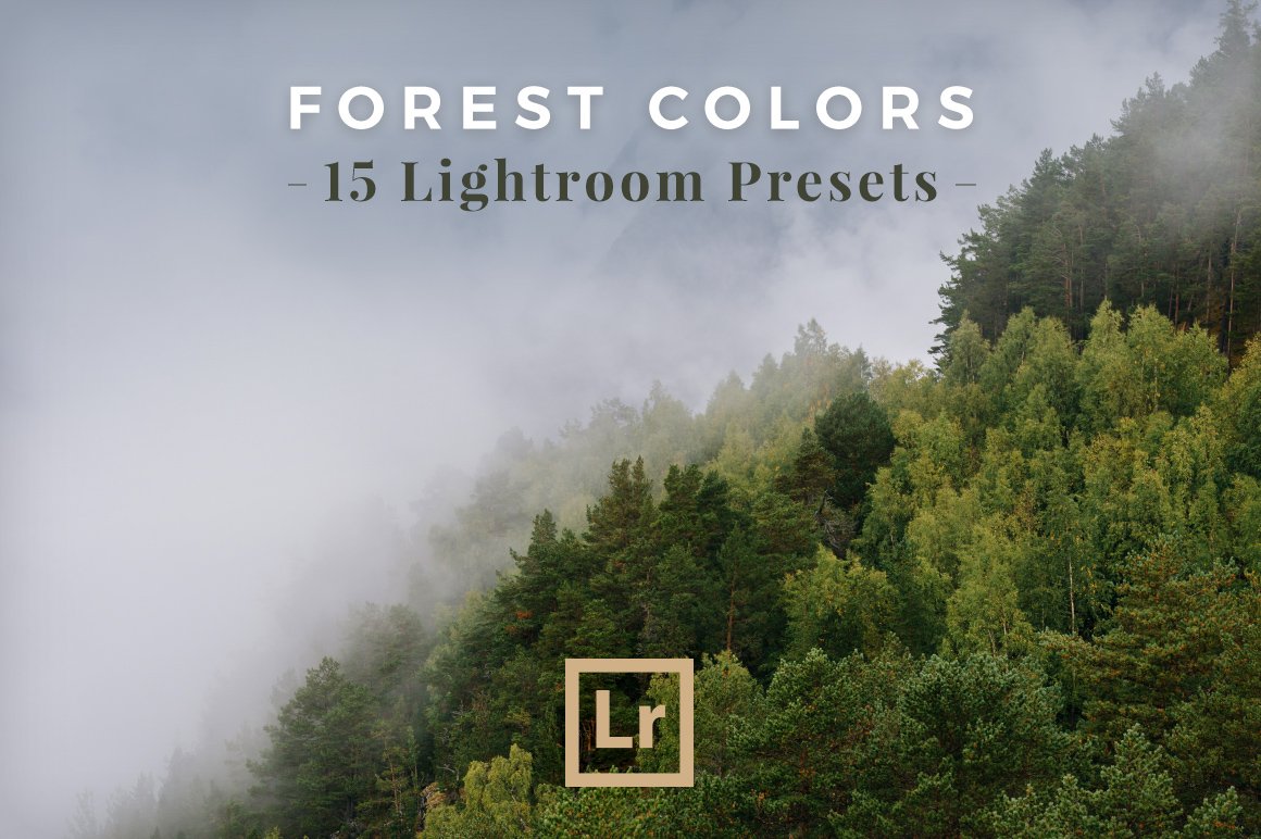 Lightroom Presets Forest Landscapescover image.