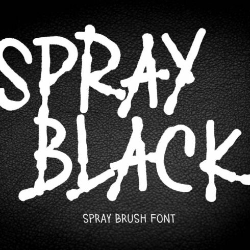SPRAY BLACK cover image.