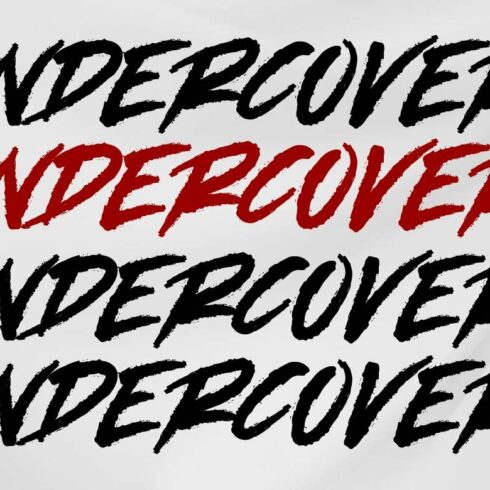 UNDERCOVER cover image.