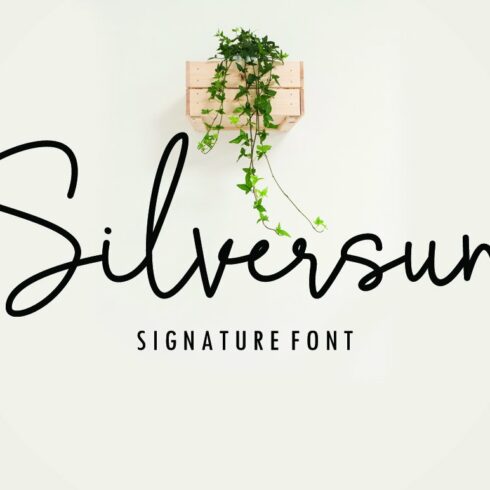 Silversun Script Font cover image.