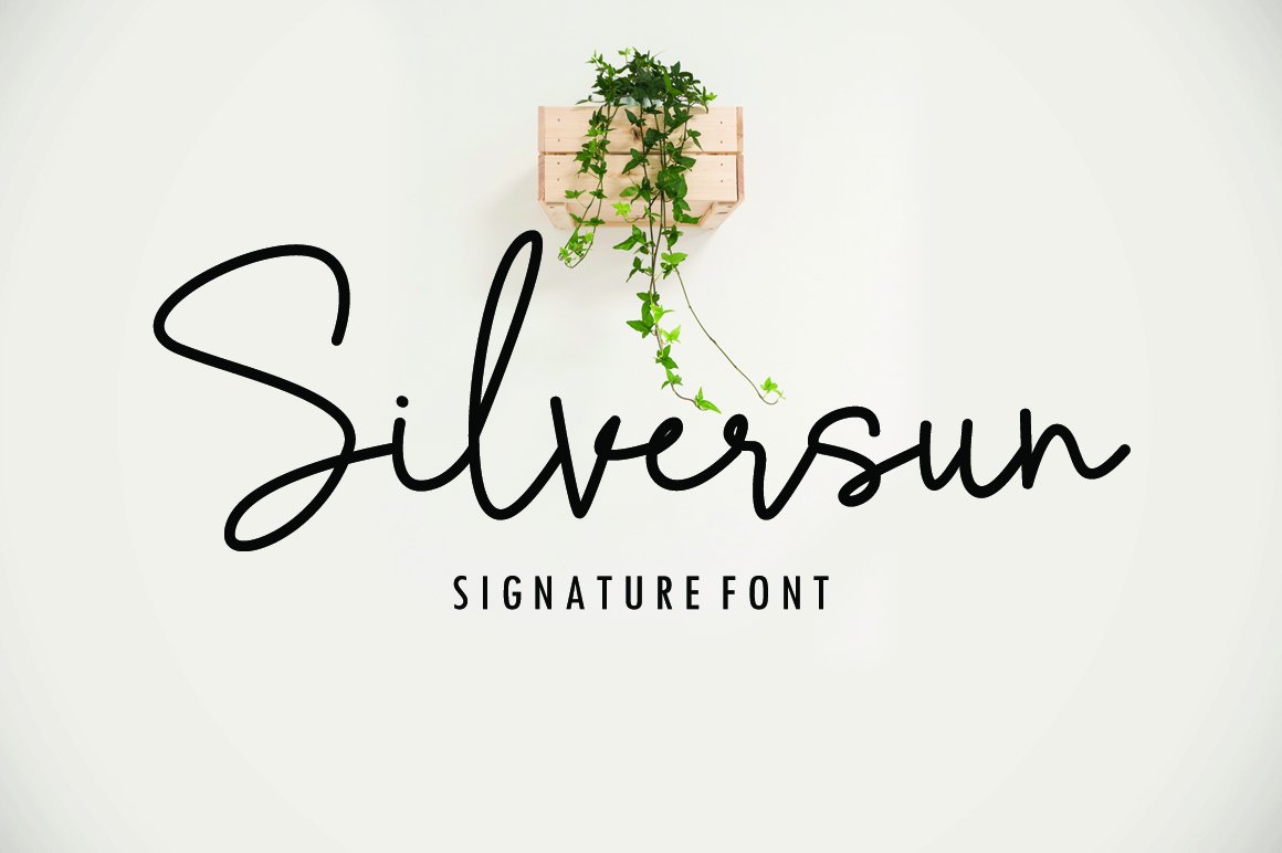 Silversun Script Font cover image.
