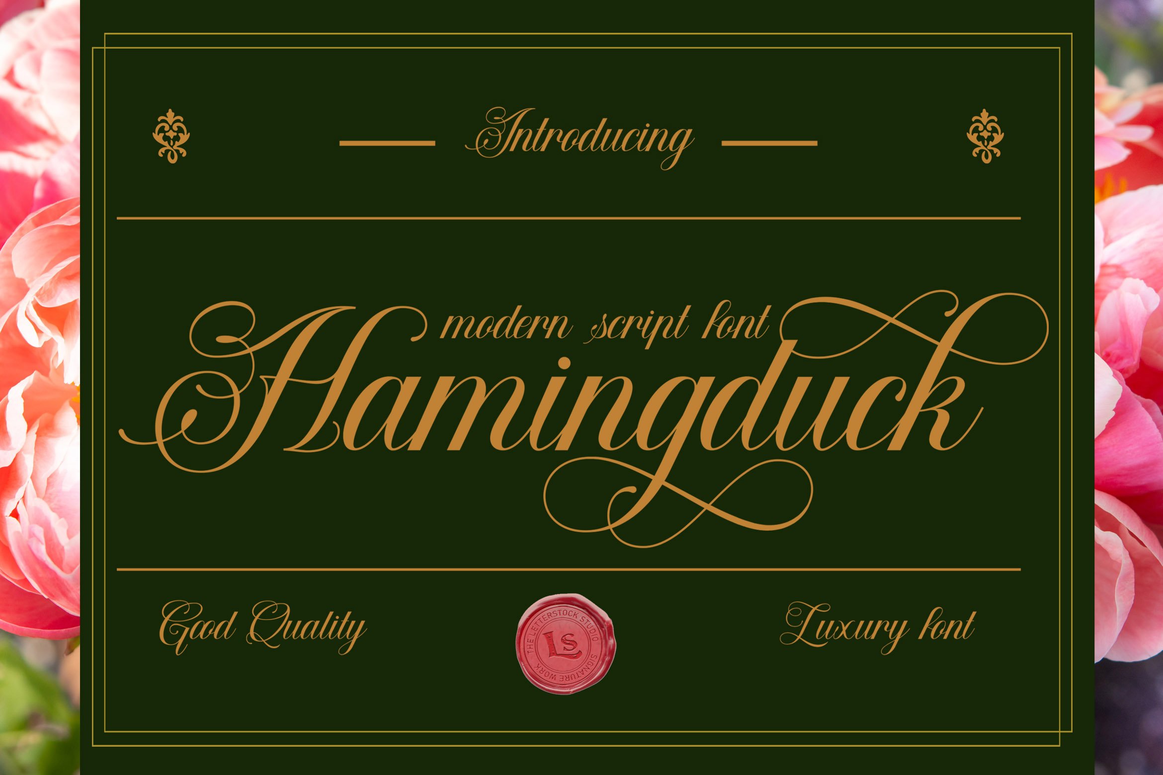 Hamingduck cover image.