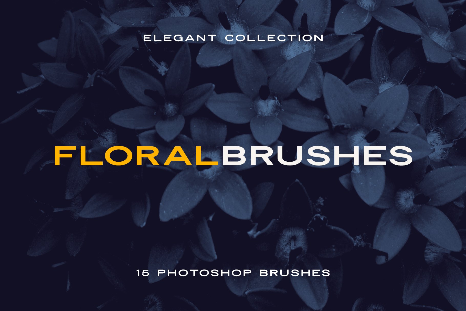 Elegant Floral Photoshop Brushescover image.