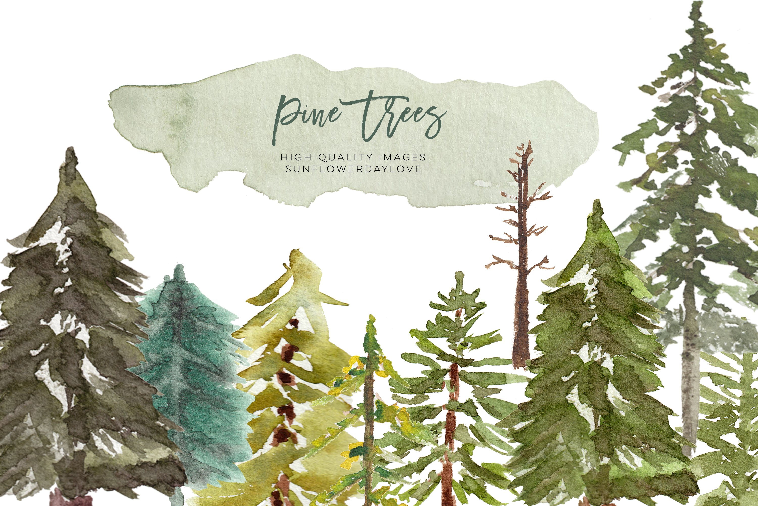 Watercolor painting of a forest with pine trees by Pia Fries.