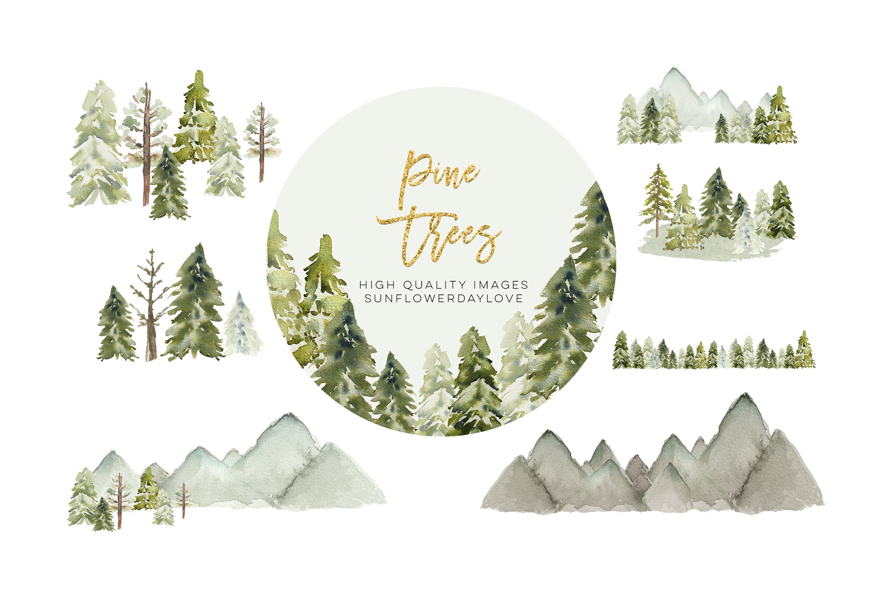 Winter Mountain Pine Trees Frame cover image.