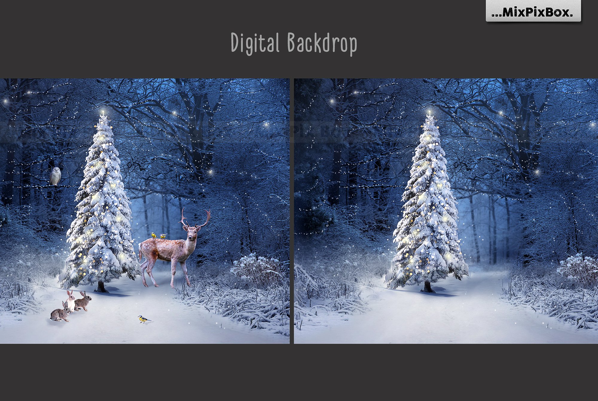 Christmas Backdroppreview image.