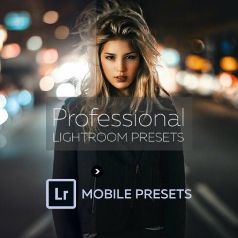Professional Lightroom Presetscover image.