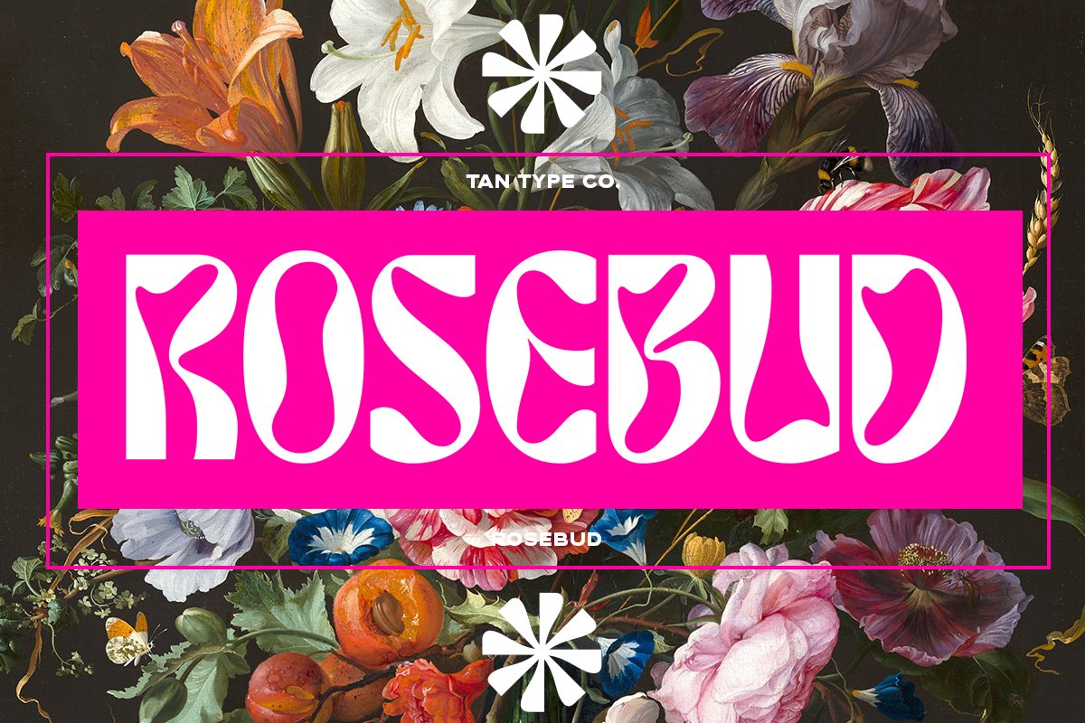 TAN - ROSEBUD cover image.