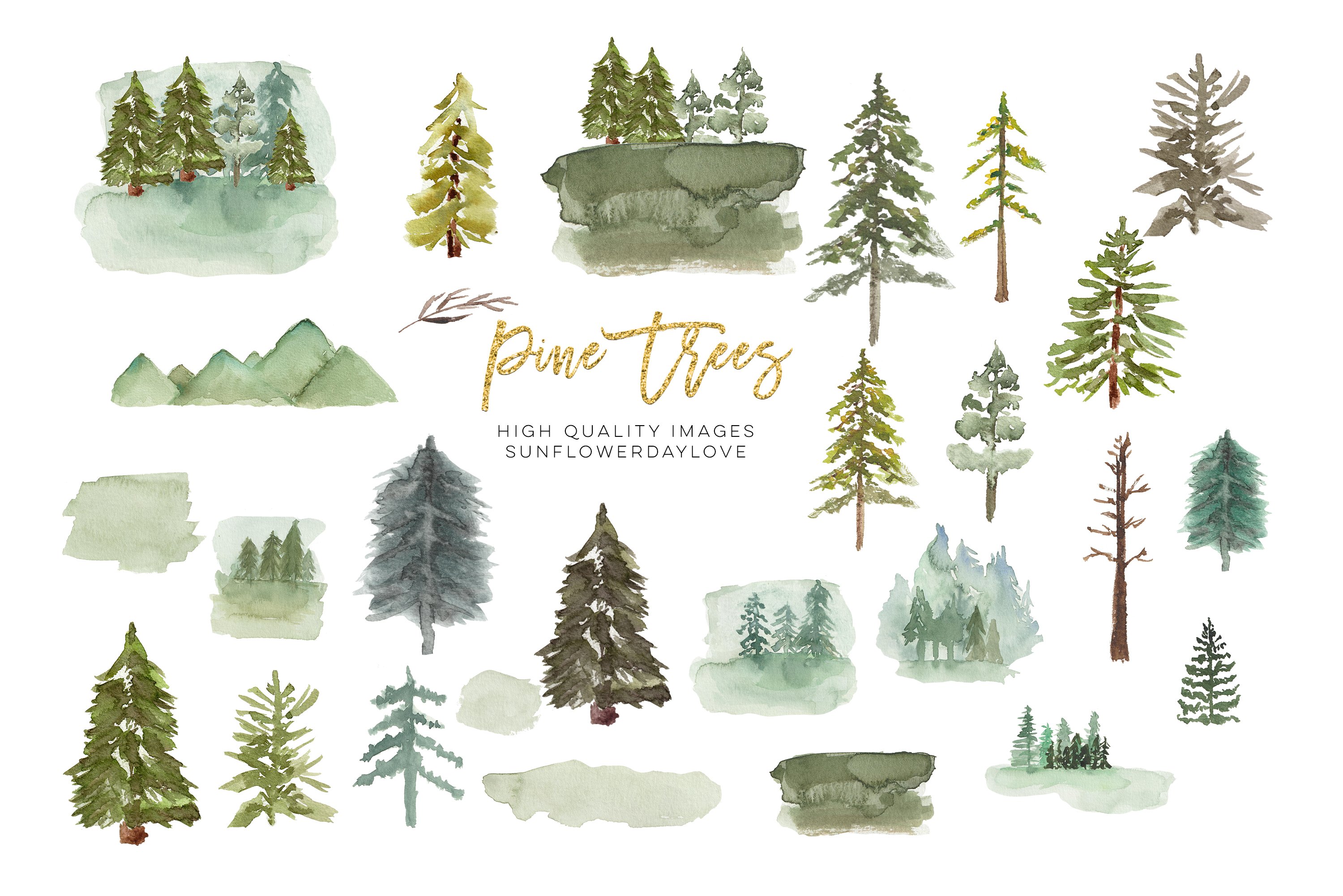 Collection of pine trees painted in watercolor.
