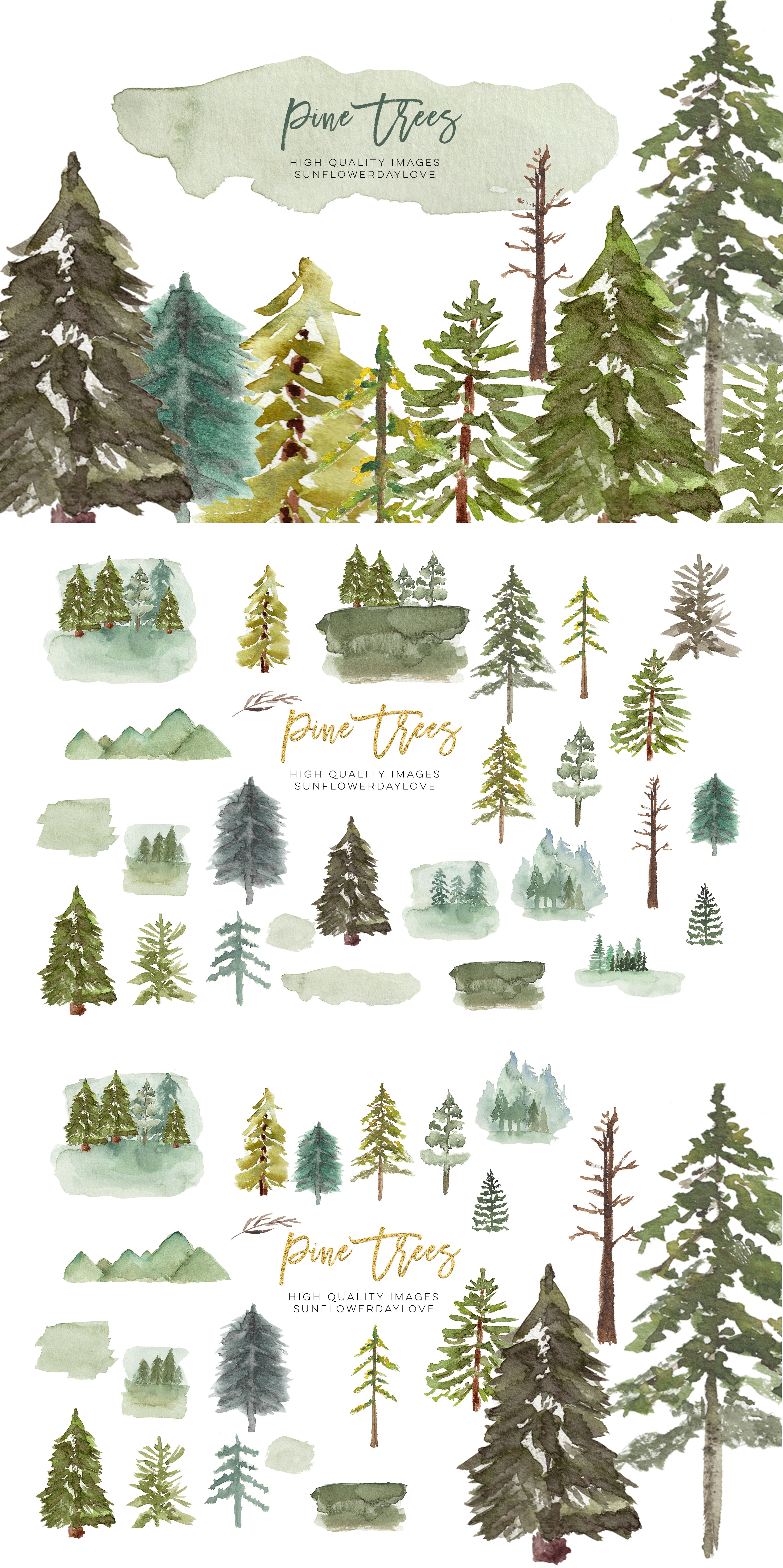 Watercolor Pine Tree Clipart preview image.