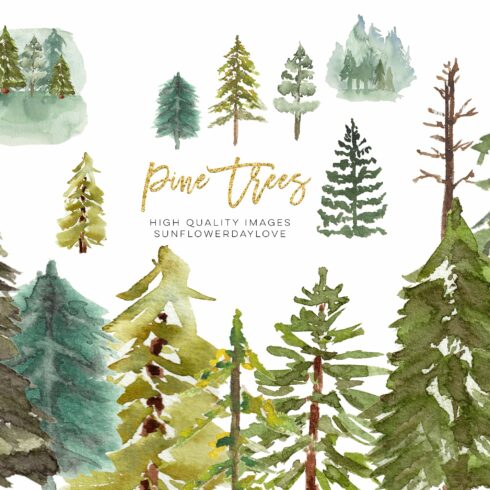 Watercolor Pine Tree Clipart cover image.
