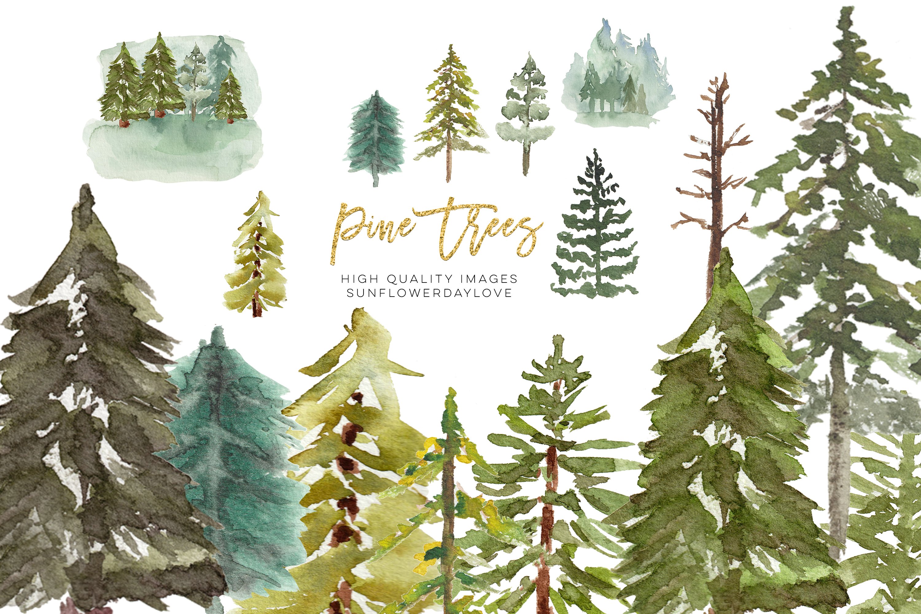 Watercolor Pine Tree Clipart cover image.