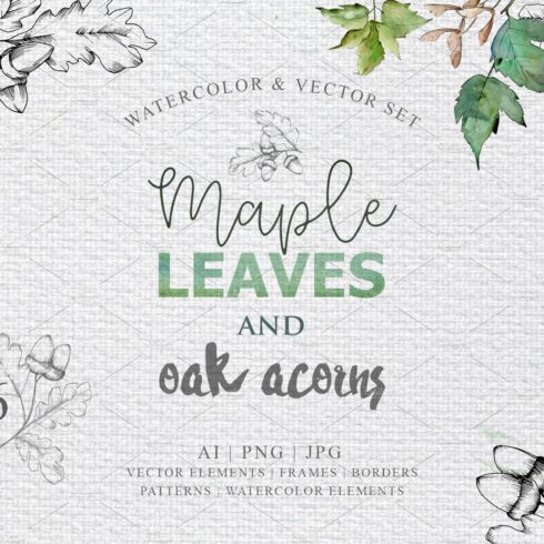 Maple leaves and oak acorns set cover image.