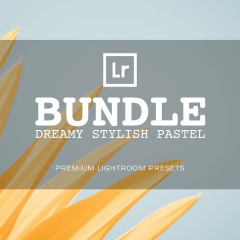 Bundle Lightroom Presetscover image.