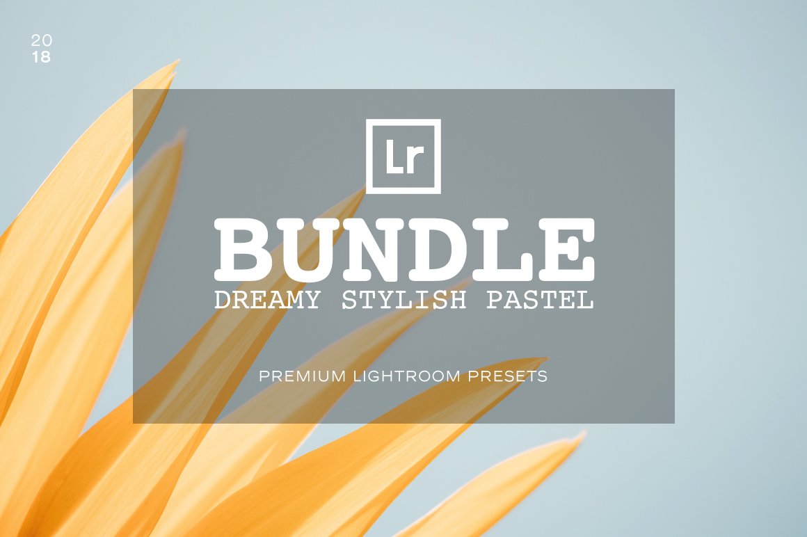 Bundle Lightroom Presetscover image.