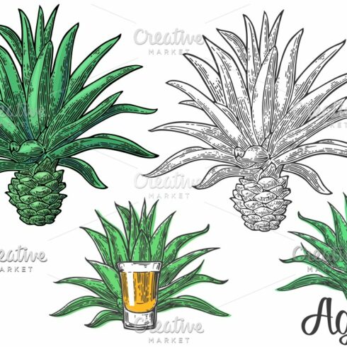 Three pineapples and a glass of beer.