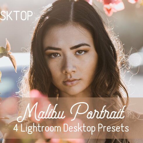 Malibu Portrait Desktop Presetscover image.