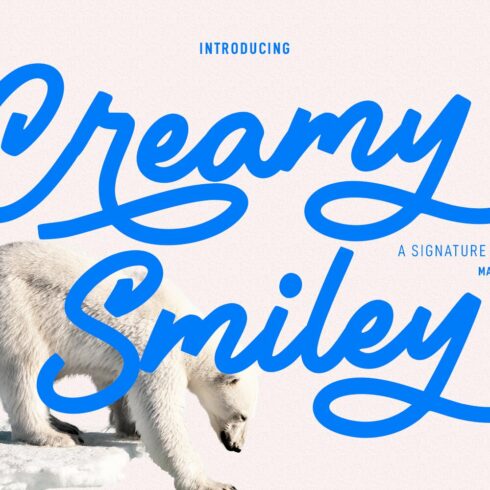 Creamy Smiley Script Font cover image.