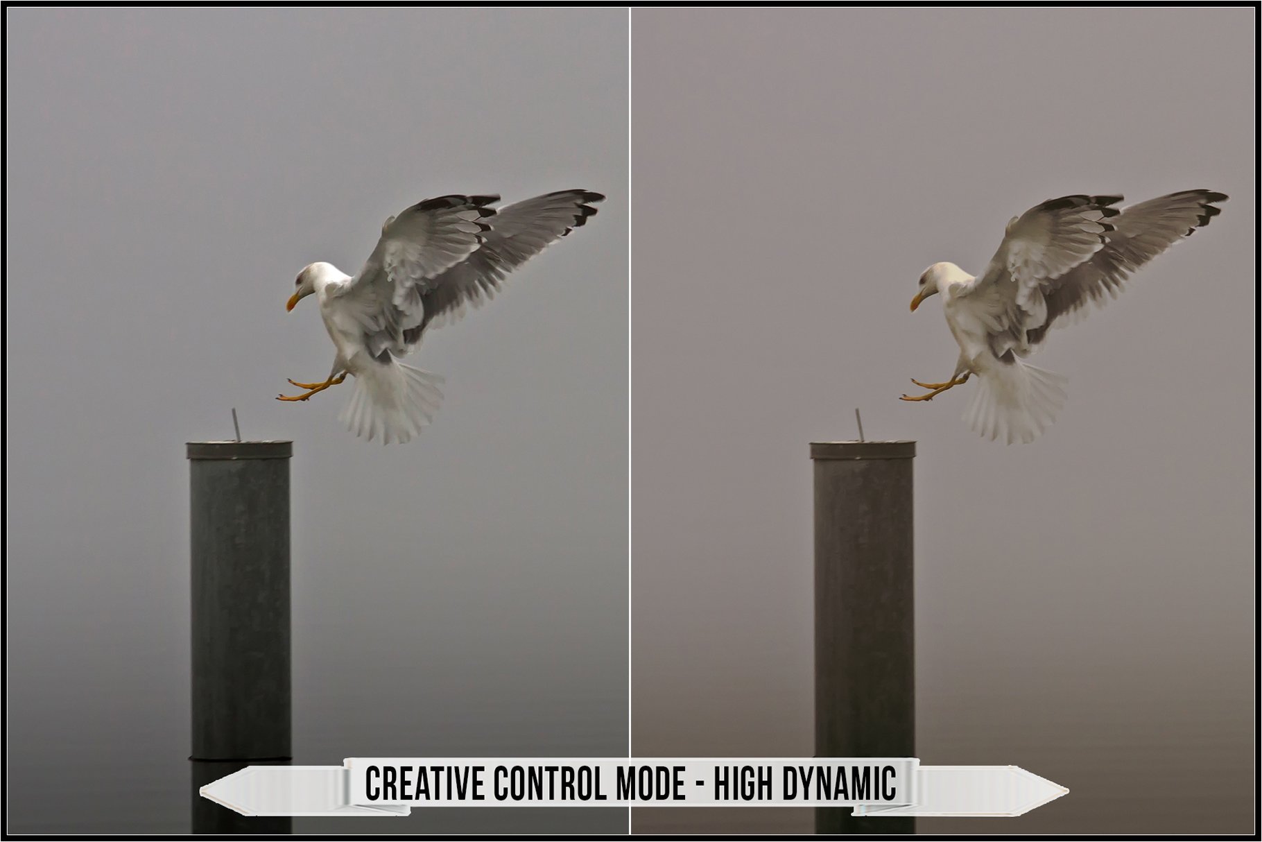creative control mode high dynamic 232
