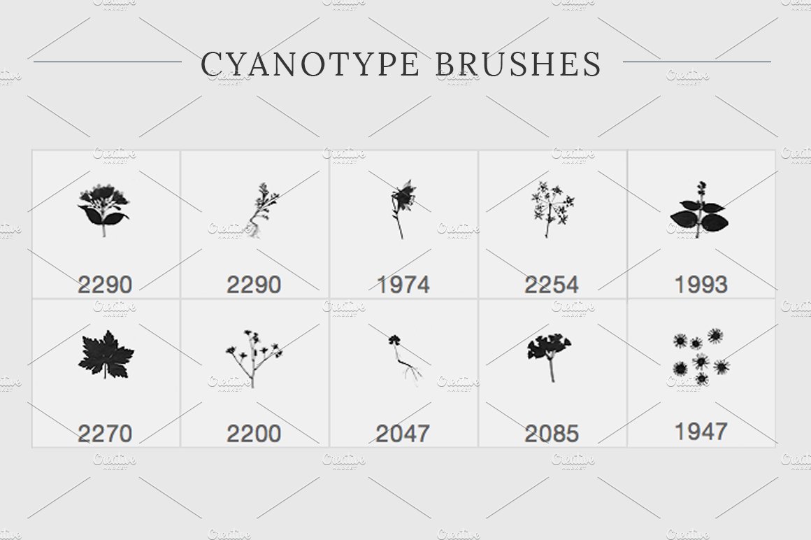 creative market cyanotype 7 29