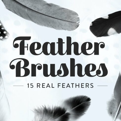 Feather Photoshop brushescover image.
