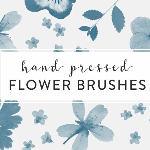 Pressed Flowers Photoshop Brushescover image.