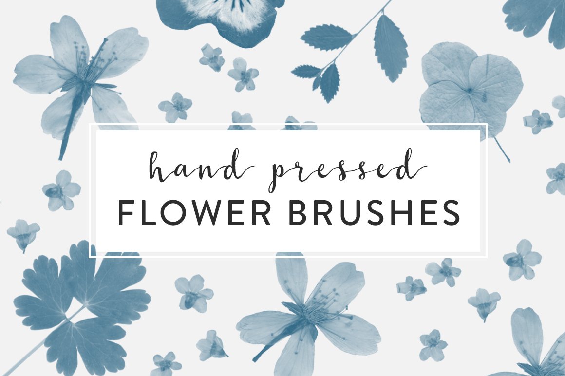 Pressed Flowers Photoshop Brushescover image.
