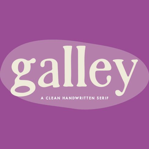 Galley — A Clean Handwritten Serif cover image.