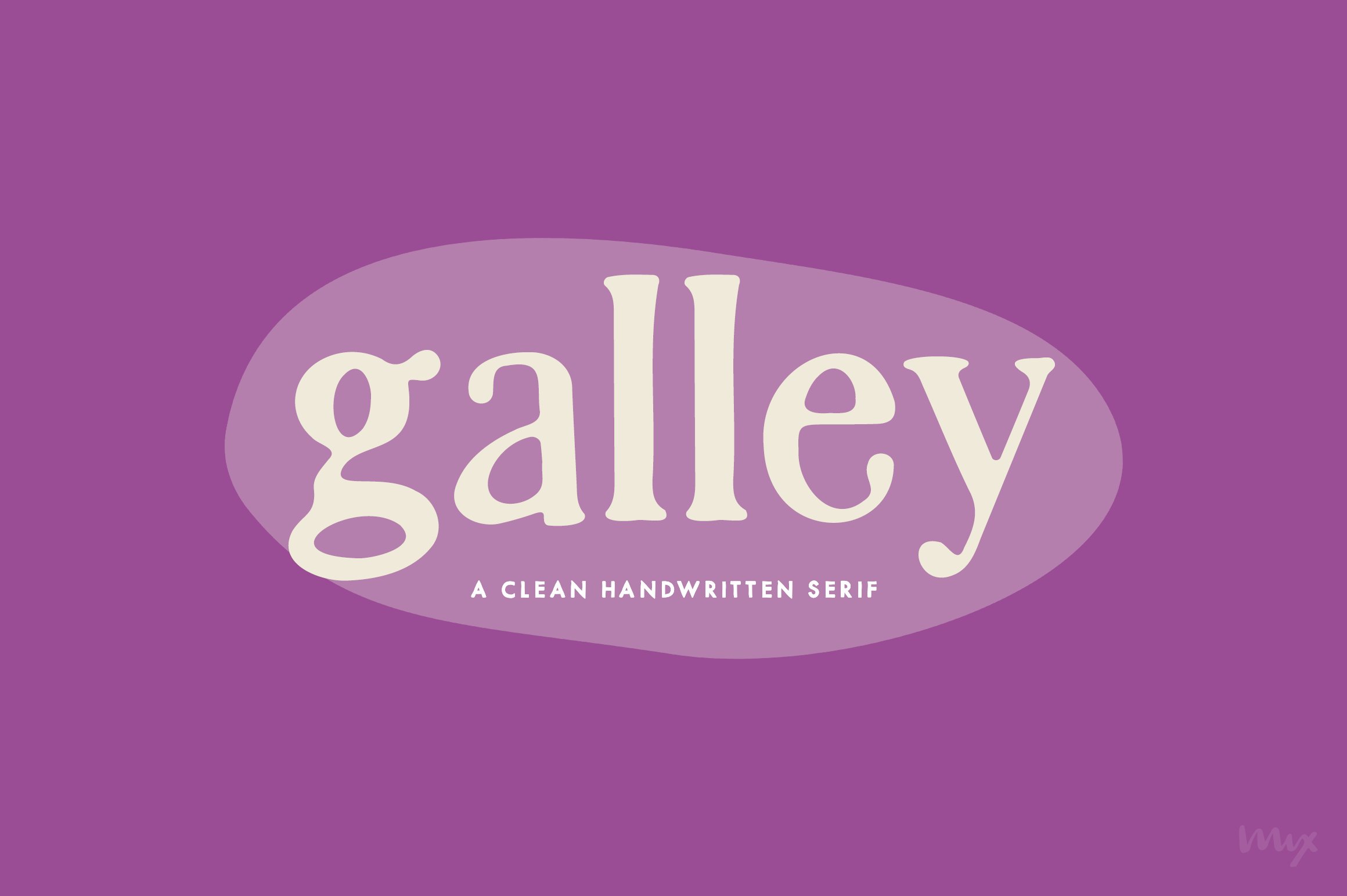 Galley — A Clean Handwritten Serif cover image.