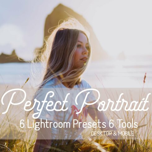 Perfect Portrait Lightroom Presetscover image.