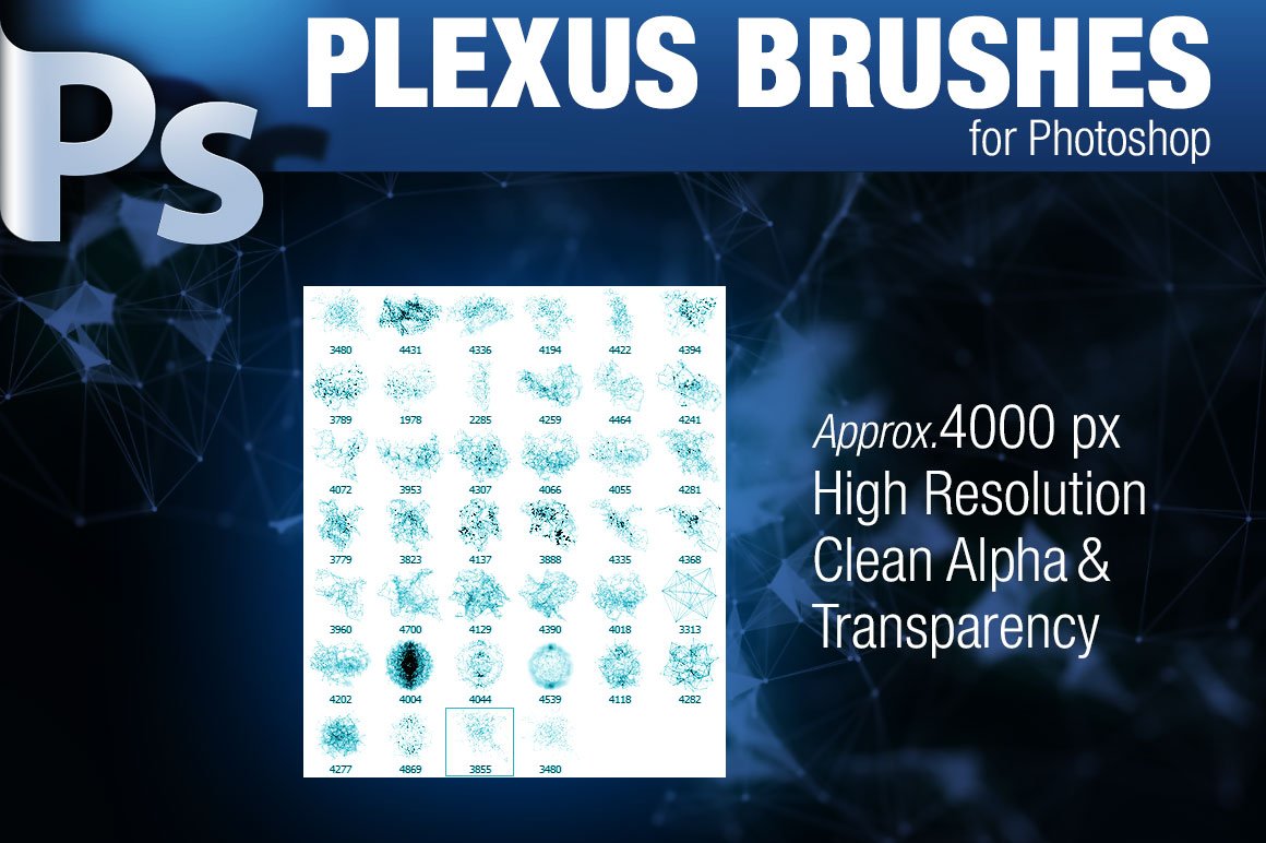 CG Plexus Brushes for Photoshopcover image.