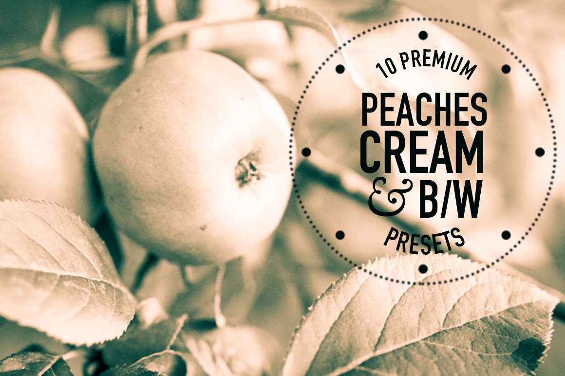 creative market main image peaches cream bw 159