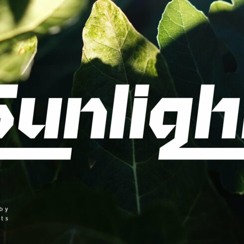 Sunlight Modern Font cover image.