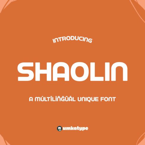 Shaolin - A Multilingual Font cover image.