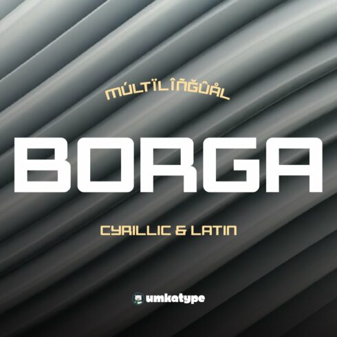 Borga - Multilingual Font cover image.