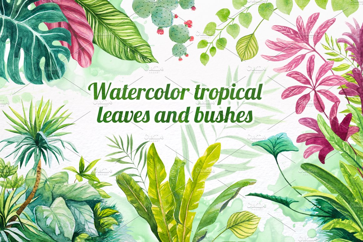 Watercolor tropical leaves set#2. cover image.